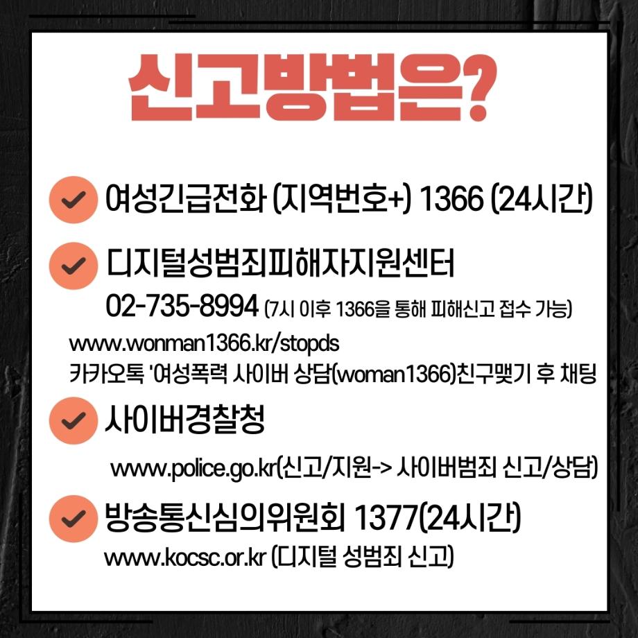 썸네일 사진