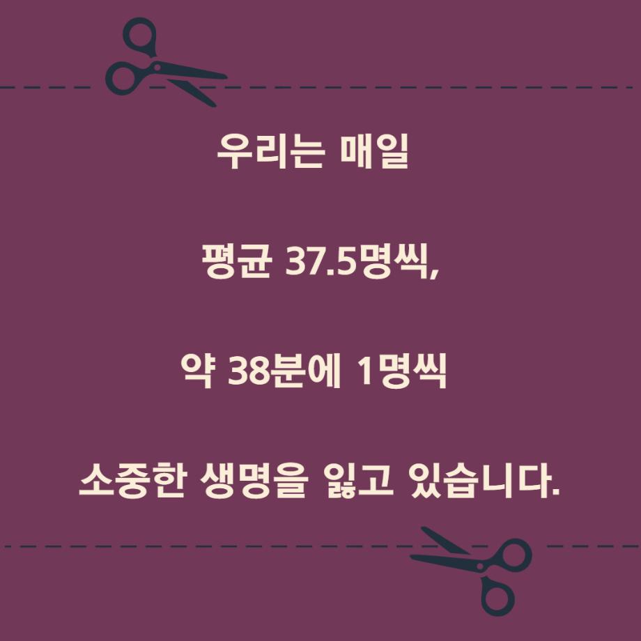 썸네일 사진