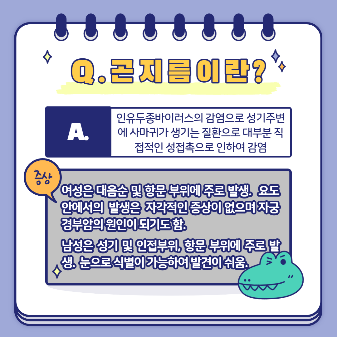 썸네일 사진