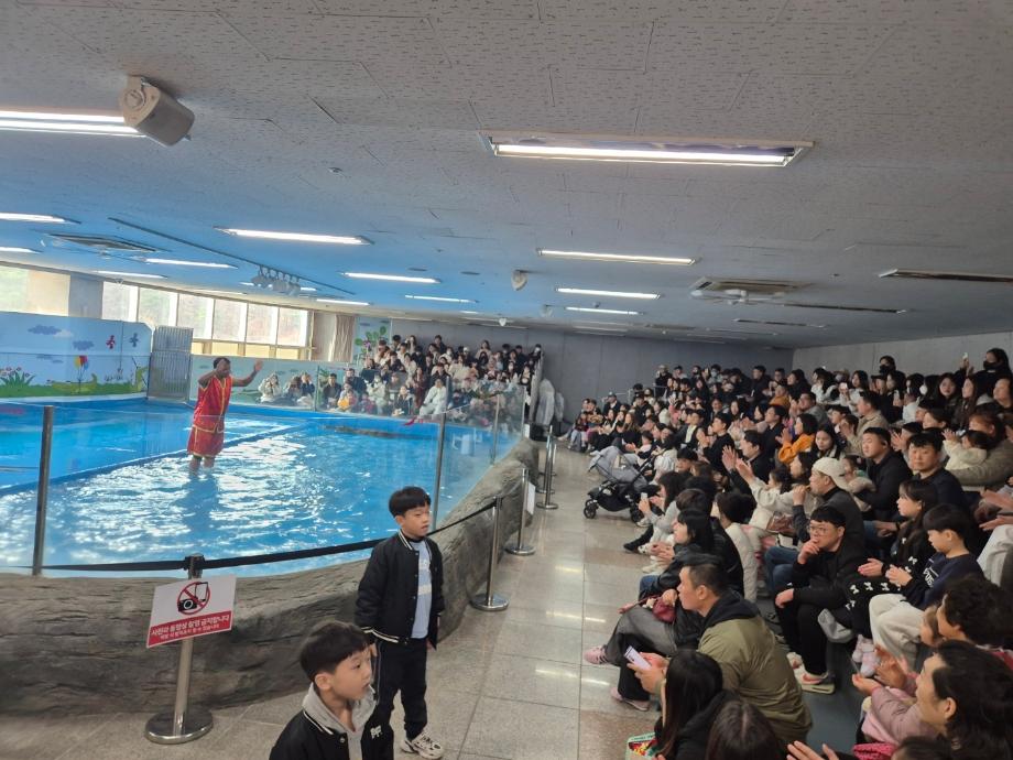 썸네일 사진